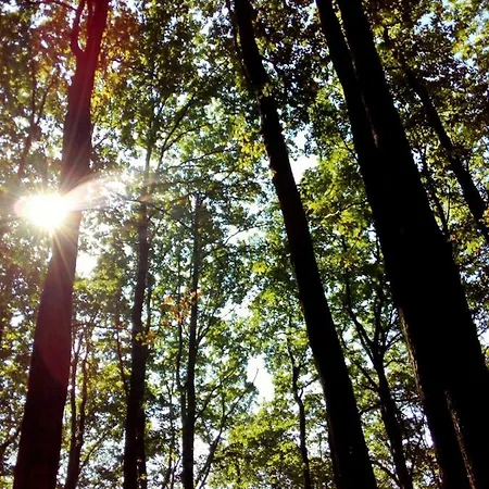 Daire Bio-ferienwohnung Bodensee Haus Franziskus Herdwangen-Schönach