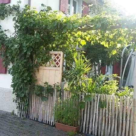 Bio-ferienwohnung Bodensee Haus Franziskus Apartman