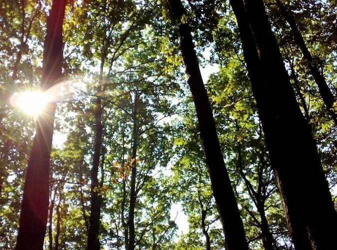 Daire Bio-ferienwohnung Bodensee Haus Franziskus Herdwangen-Schönach